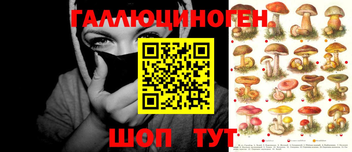 Псилоцибиновые грибы мухоморы  магазин продажи   Калуга  Вход с VPN  Псилоцибиновые грибы мухоморы 